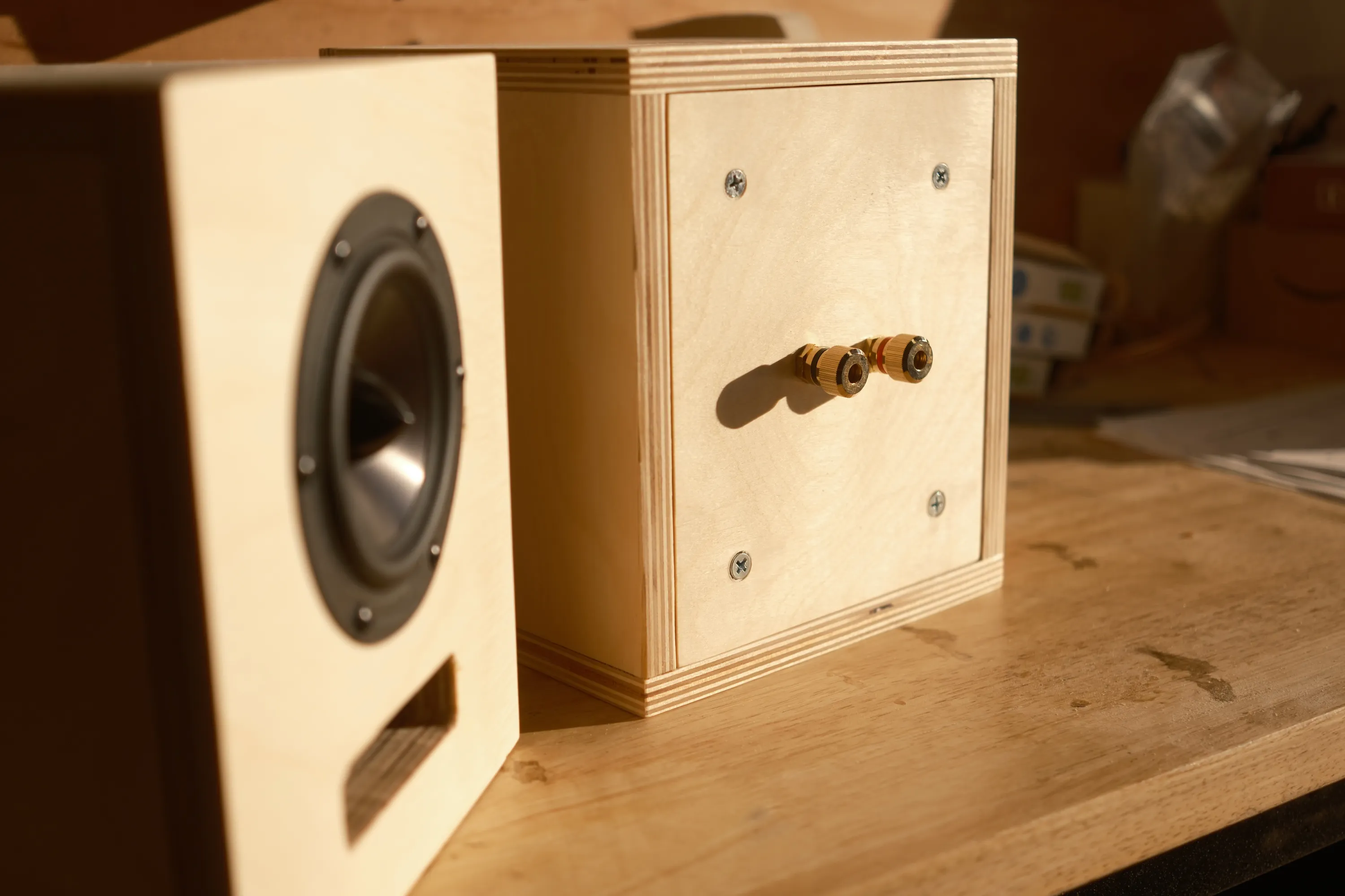 The binding posts on the back of one speaker