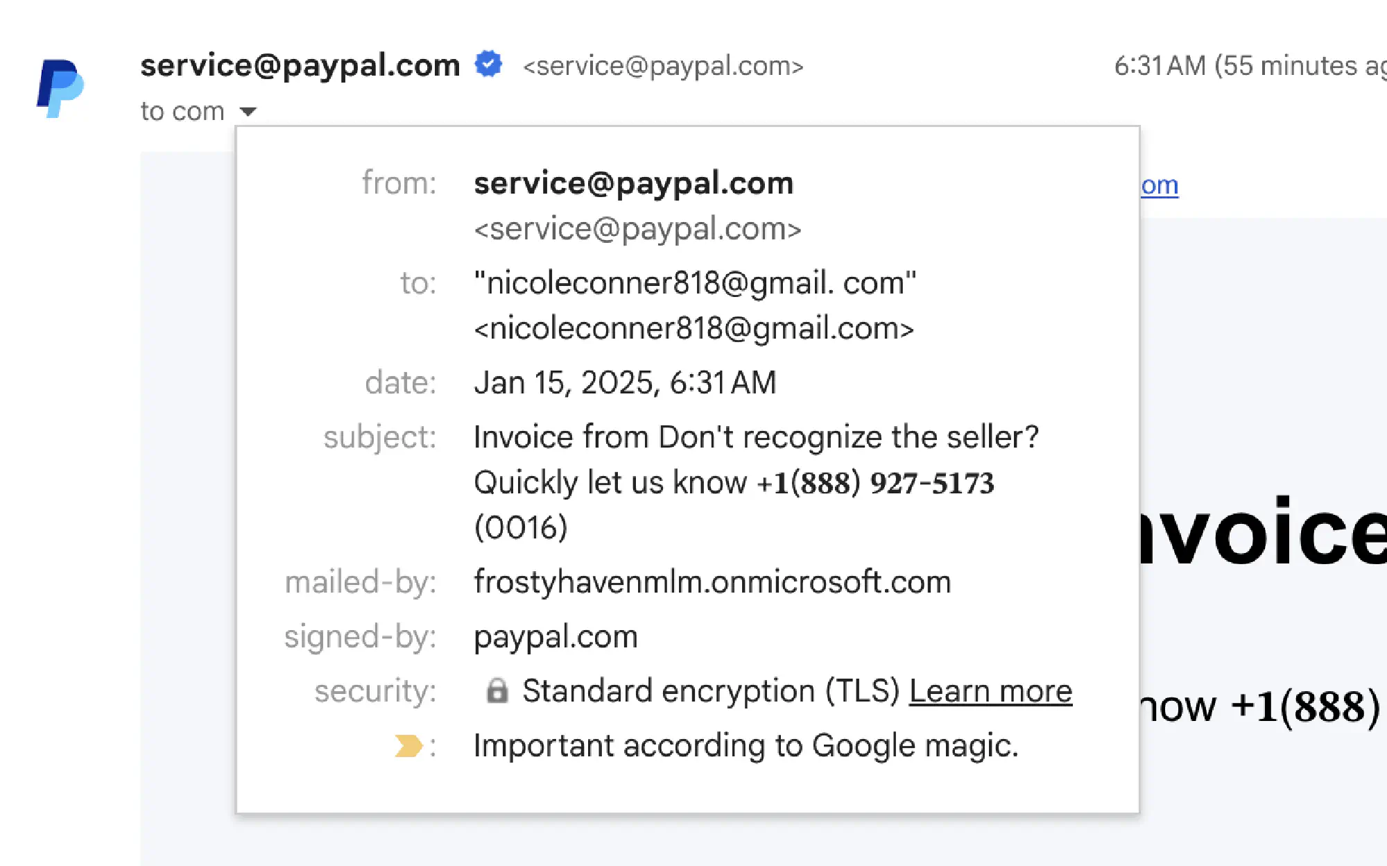 Gmail’s view of the email’s details